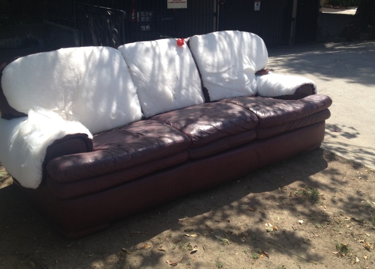 Trashed Couch